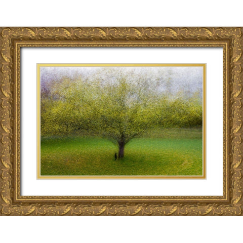 The Cat By The Tree Gold Ornate Wood Framed Art Print with Double Matting by Ostlund, Arne