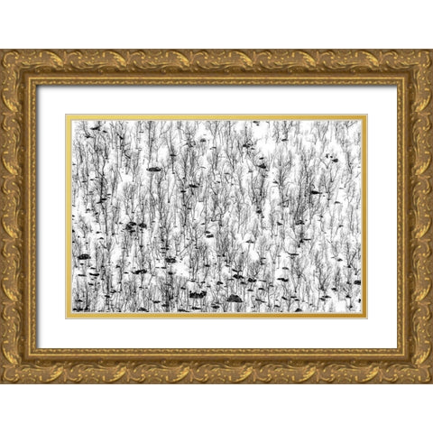 Little Trees Gold Ornate Wood Framed Art Print with Double Matting by Ghesquiere, Hilde