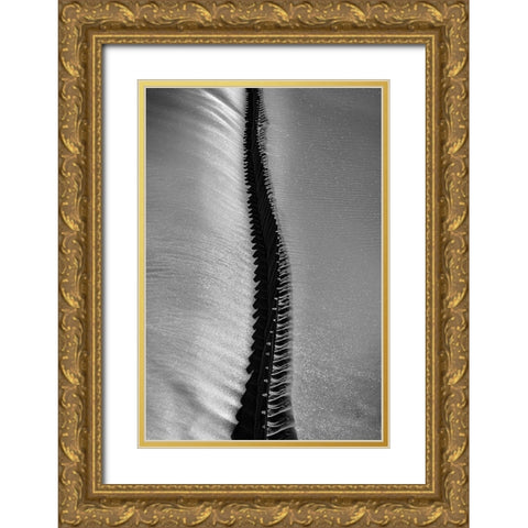 Scorpio Rising Gold Ornate Wood Framed Art Print with Double Matting by Abrantes, Paulo