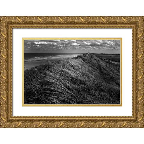 Dunes Hair. Gold Ornate Wood Framed Art Print with Double Matting by Pardo, Katarzyna