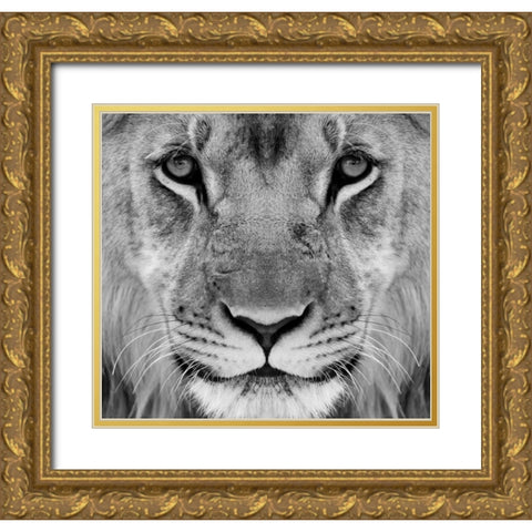 My-What Big Thighs You Have ! Gold Ornate Wood Framed Art Print with Double Matting by Pearson, Wayne