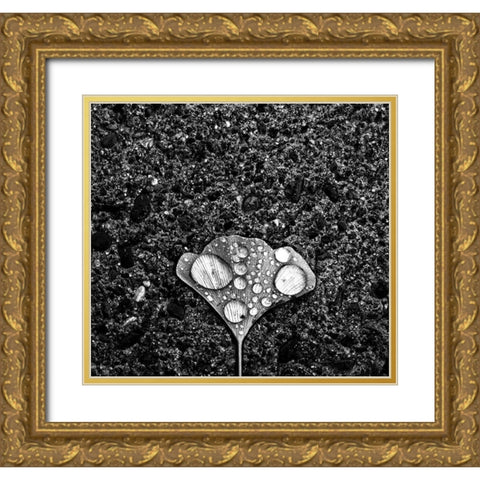 Dew Gold Ornate Wood Framed Art Print with Double Matting by Wang, Jian