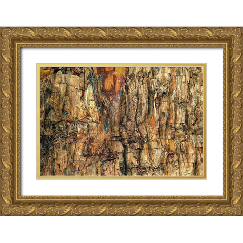 Bark Gold Ornate Wood Framed Art Print with Double Matting by Kravanja, Jure