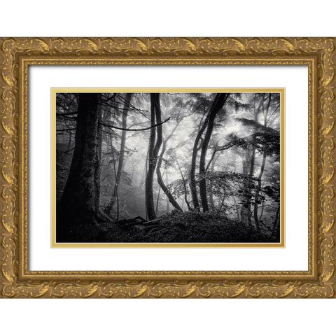 Mysterious Light Gold Ornate Wood Framed Art Print with Double Matting by Maier, Norbert