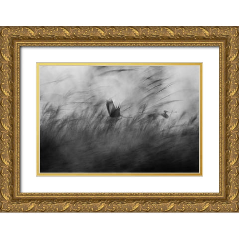 Out Of The Blue Gold Ornate Wood Framed Art Print with Double Matting by Segev, Elior