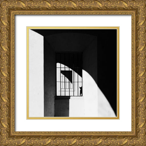 The Black Cat Gold Ornate Wood Framed Art Print with Double Matting by Della Latta, Massimo