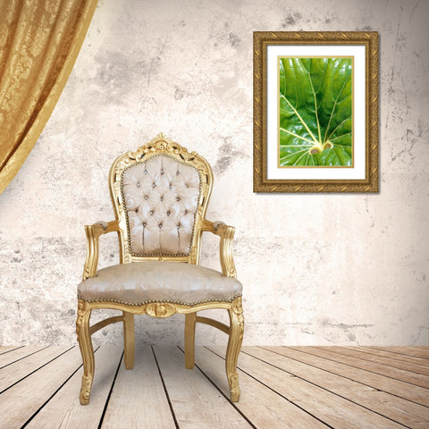 Tropical Leaf Gold Ornate Wood Framed Art Print with Double Matting by Blue, Cyril