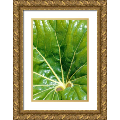 Tropical Leaf Gold Ornate Wood Framed Art Print with Double Matting by Blue, Cyril