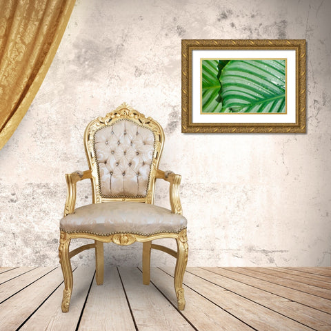 Tropical Leaf Gold Ornate Wood Framed Art Print with Double Matting by Blue, Cyril