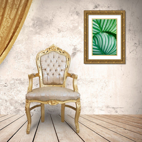 Tropical Leaf Gold Ornate Wood Framed Art Print with Double Matting by Blue, Cyril