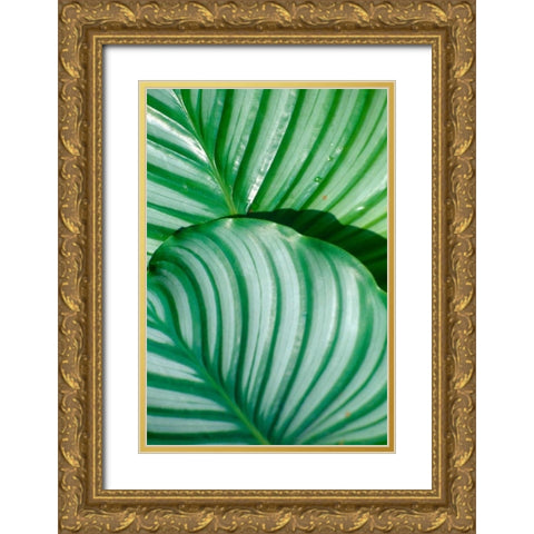 Tropical Leaf Gold Ornate Wood Framed Art Print with Double Matting by Blue, Cyril