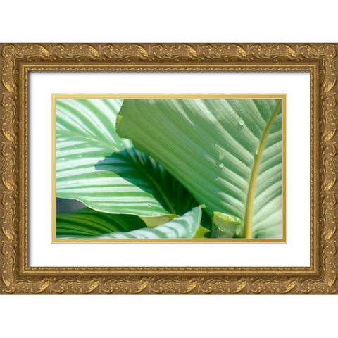 Tropical Leaves Gold Ornate Wood Framed Art Print with Double Matting by Blue, Cyril