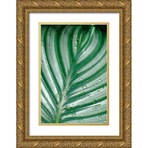 Tropical Leaf Gold Ornate Wood Framed Art Print with Double Matting by Blue, Cyril