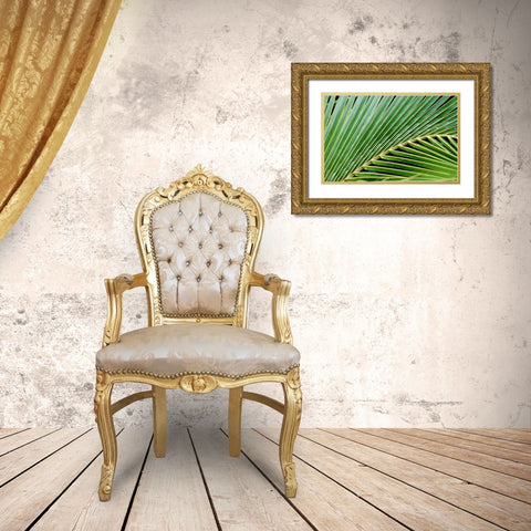 Palm Frond Gold Ornate Wood Framed Art Print with Double Matting by Blue, Cyril