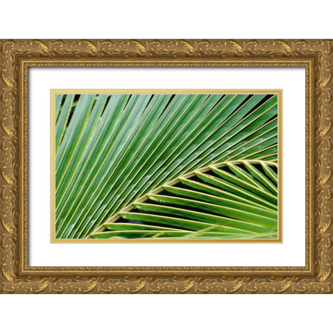 Palm Frond Gold Ornate Wood Framed Art Print with Double Matting by Blue, Cyril