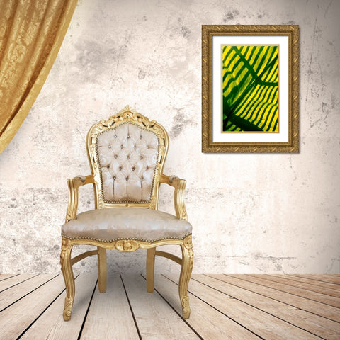 Palm Frond Gold Ornate Wood Framed Art Print with Double Matting by Blue, Cyril