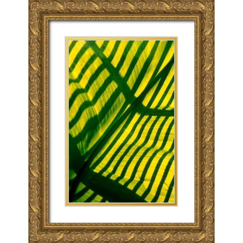 Palm Frond Gold Ornate Wood Framed Art Print with Double Matting by Blue, Cyril