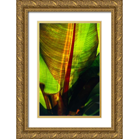 Palm Frond Gold Ornate Wood Framed Art Print with Double Matting by Blue, Cyril