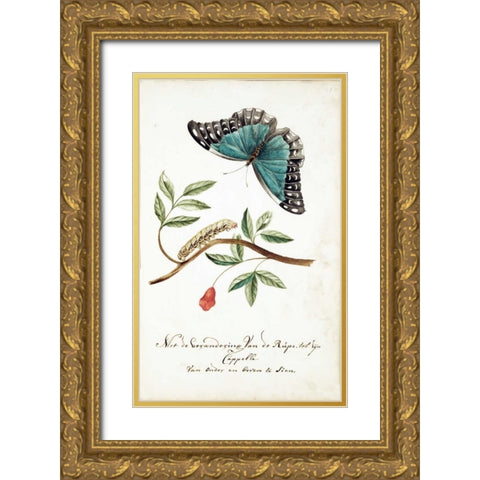 Plant With Leaves, Caterpillar, Butterfly Gold Ornate Wood Framed Art Print with Double Matting by Markee, Cornelis