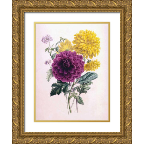 Chrysanthemum Gold Ornate Wood Framed Art Print with Double Matting by Andrews, James