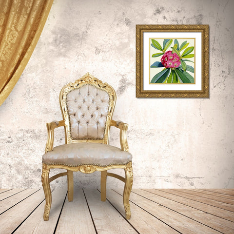 Rhododendron Barbatum Flower Gold Ornate Wood Framed Art Print with Double Matting by Hooker, Joseph Dalton