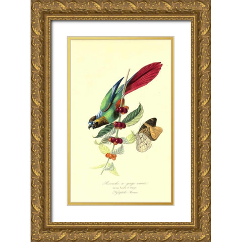 Parakeet on Coffee Bush Gold Ornate Wood Framed Art Print with Double Matting by Anonymous, 1842