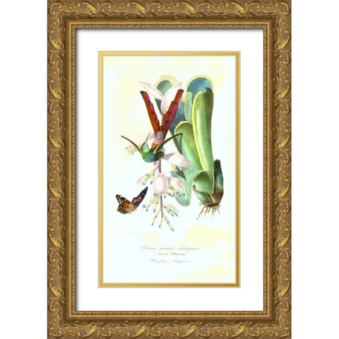 Humming Bird on Bromeliad Gold Ornate Wood Framed Art Print with Double Matting by Anonymous, 1842