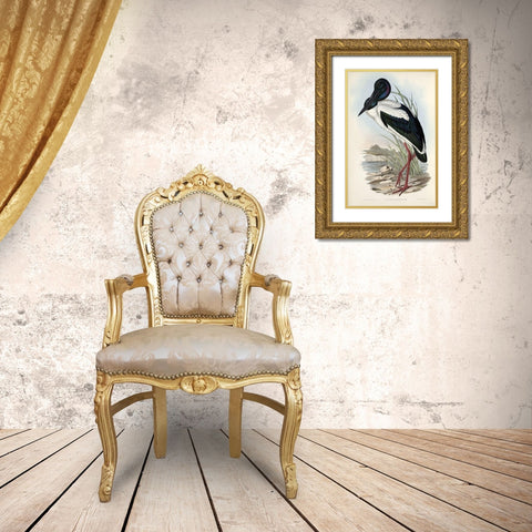Australian Stork Gold Ornate Wood Framed Art Print with Double Matting by Gould, John