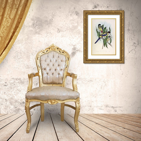 Browns Parakeet Gold Ornate Wood Framed Art Print with Double Matting by Gould, John