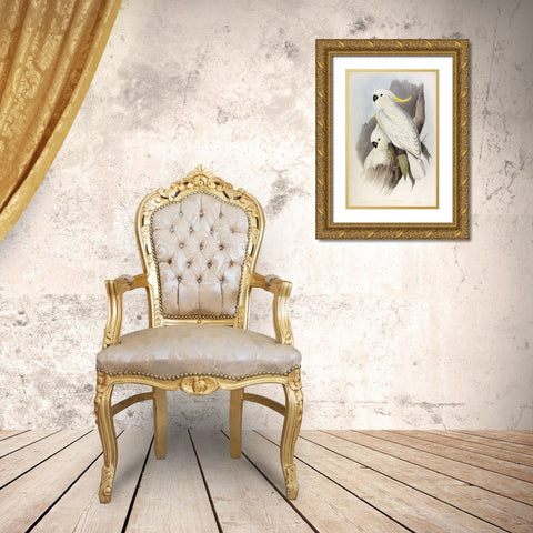 Crested Cockatoo Gold Ornate Wood Framed Art Print with Double Matting by Gould, John