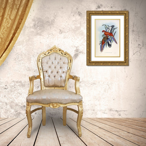 Fiery Parakeet Gold Ornate Wood Framed Art Print with Double Matting by Gould, John