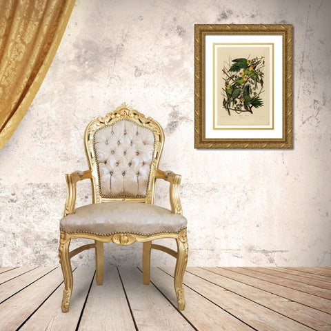 Carolina Parrot Gold Ornate Wood Framed Art Print with Double Matting by Audubon, John James