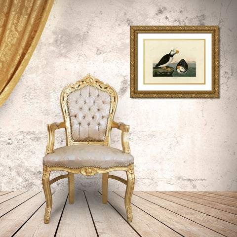 Large Billed Puffin Gold Ornate Wood Framed Art Print with Double Matting by Audubon, John James