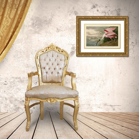 Roseate Spoonbill Gold Ornate Wood Framed Art Print with Double Matting by Audubon, John James
