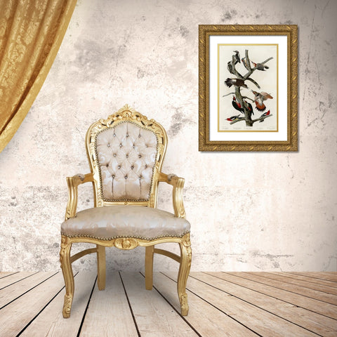 Woodpeckers Gold Ornate Wood Framed Art Print with Double Matting by Audubon, John James