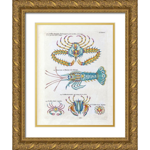 Crabbe- Scorpion Gold Ornate Wood Framed Art Print with Double Matting by Renard, Louis