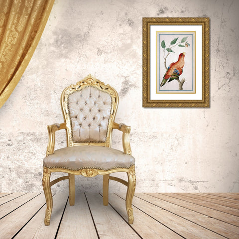 Lory, Right facing Gold Ornate Wood Framed Art Print with Double Matting by De Bevere, Pieter