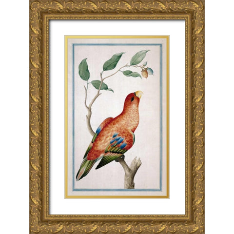 Lory, Right facing Gold Ornate Wood Framed Art Print with Double Matting by De Bevere, Pieter