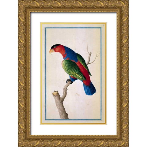 Lory, Left facing Gold Ornate Wood Framed Art Print with Double Matting by De Bevere, Pieter