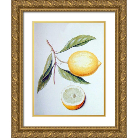 Citron Gold Ornate Wood Framed Art Print with Double Matting by Ledoulx, Pierre