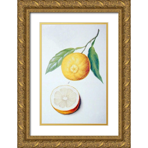 Orange Gold Ornate Wood Framed Art Print with Double Matting by Ledoulx, Pierre