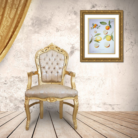 Citrons, Oranges and Lemons Gold Ornate Wood Framed Art Print with Double Matting by Ledoulx, Pierre