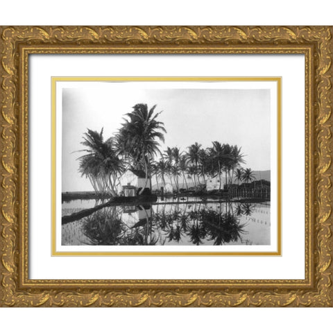 Palms, Hawaiian Rice Paddies, 1907 Gold Ornate Wood Framed Art Print with Double Matting by Anonymous