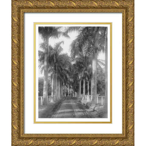 Royal Palm Ave, Honolulu, 1907 Gold Ornate Wood Framed Art Print with Double Matting by Anonymous