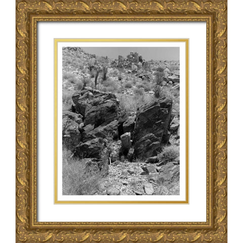 Twentynine Palms, San Bernadino, c1910 Gold Ornate Wood Framed Art Print with Double Matting by Anonymous