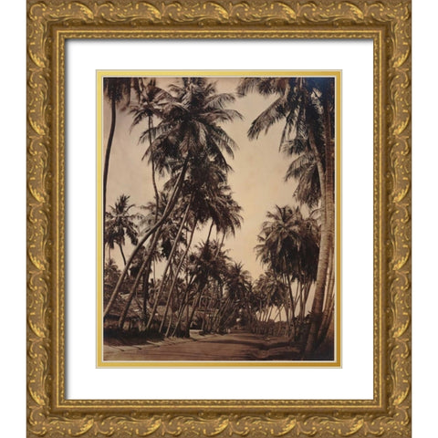 Coconut Palms, Coonoor India 1870 Gold Ornate Wood Framed Art Print with Double Matting by Anonymous