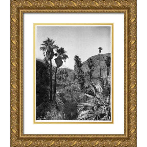 Palm Canyon, Palm Springs c,1903 Gold Ornate Wood Framed Art Print with Double Matting by Anonymous