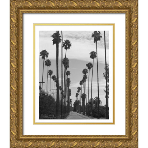 Palm Trees, Victoria Ave, Riverside c1910 Gold Ornate Wood Framed Art Print with Double Matting by Anonymous