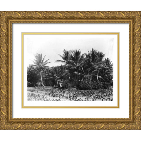 Taro fields, Date Palms, Hawaii 1907 Gold Ornate Wood Framed Art Print with Double Matting by Anonymous