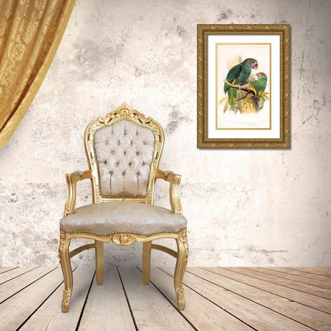Parrots, Chrysotis Gold Ornate Wood Framed Art Print with Double Matting by Smit, Joseph